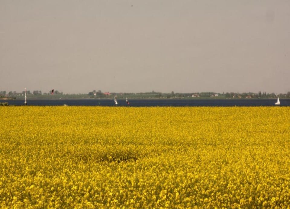 Apartment | View from property