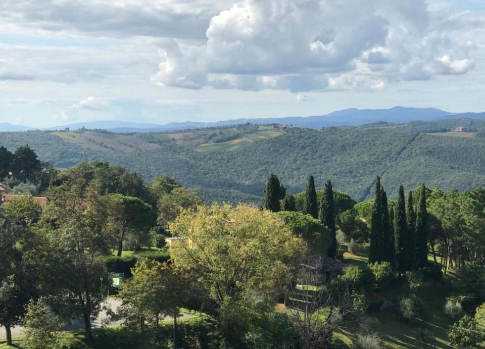 House | View from property