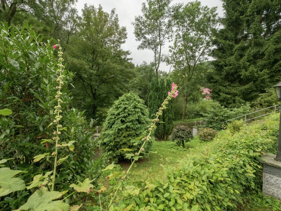 Bungalow | Garden