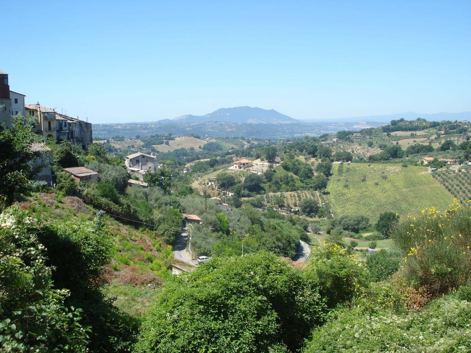 House | View from property