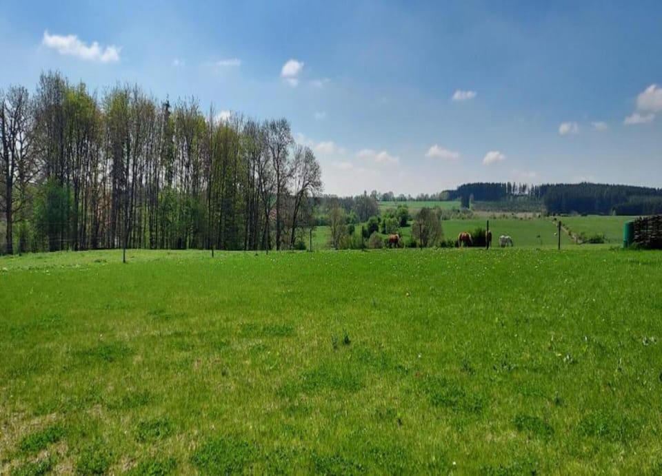 House | View from property