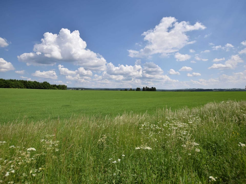 House | View from property
