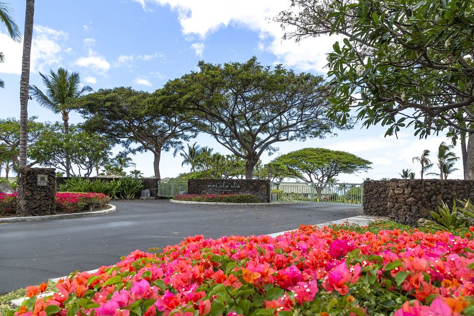 Welcome to Wai'ula'ula'!  We are honored to have you as our guests!