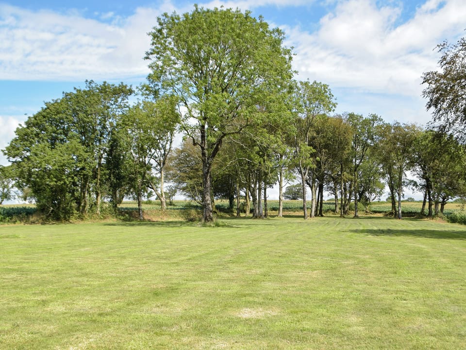 View | Swn-Y-Don, Llansteffan