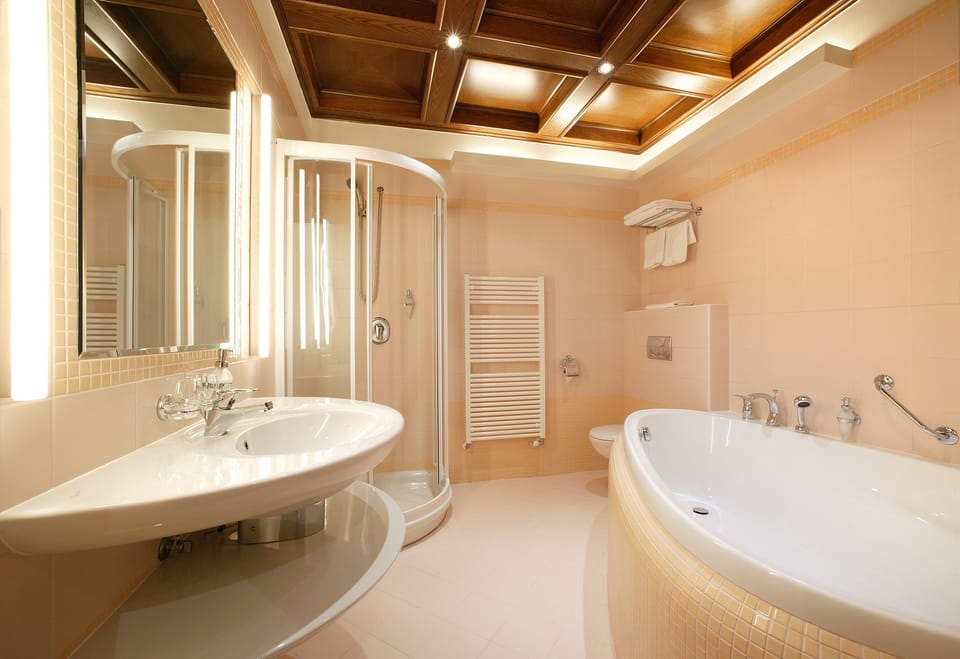 Shower, hair dryer