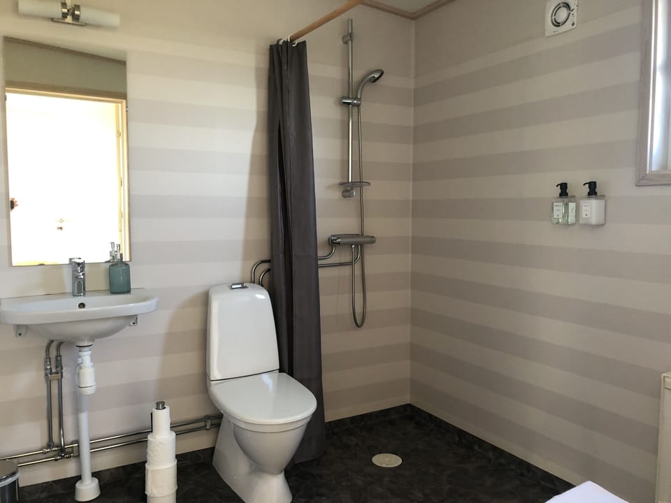 Classic Double Room | Bathroom | Shower, hair dryer, towels, soap