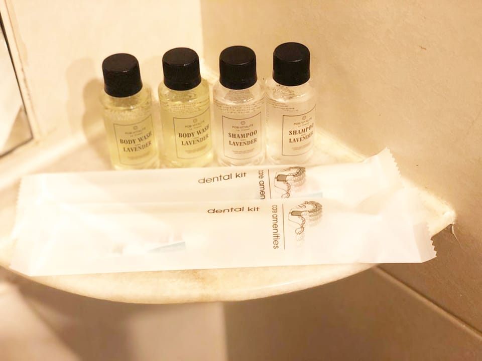 Shower, free toiletries, hair dryer, bidet