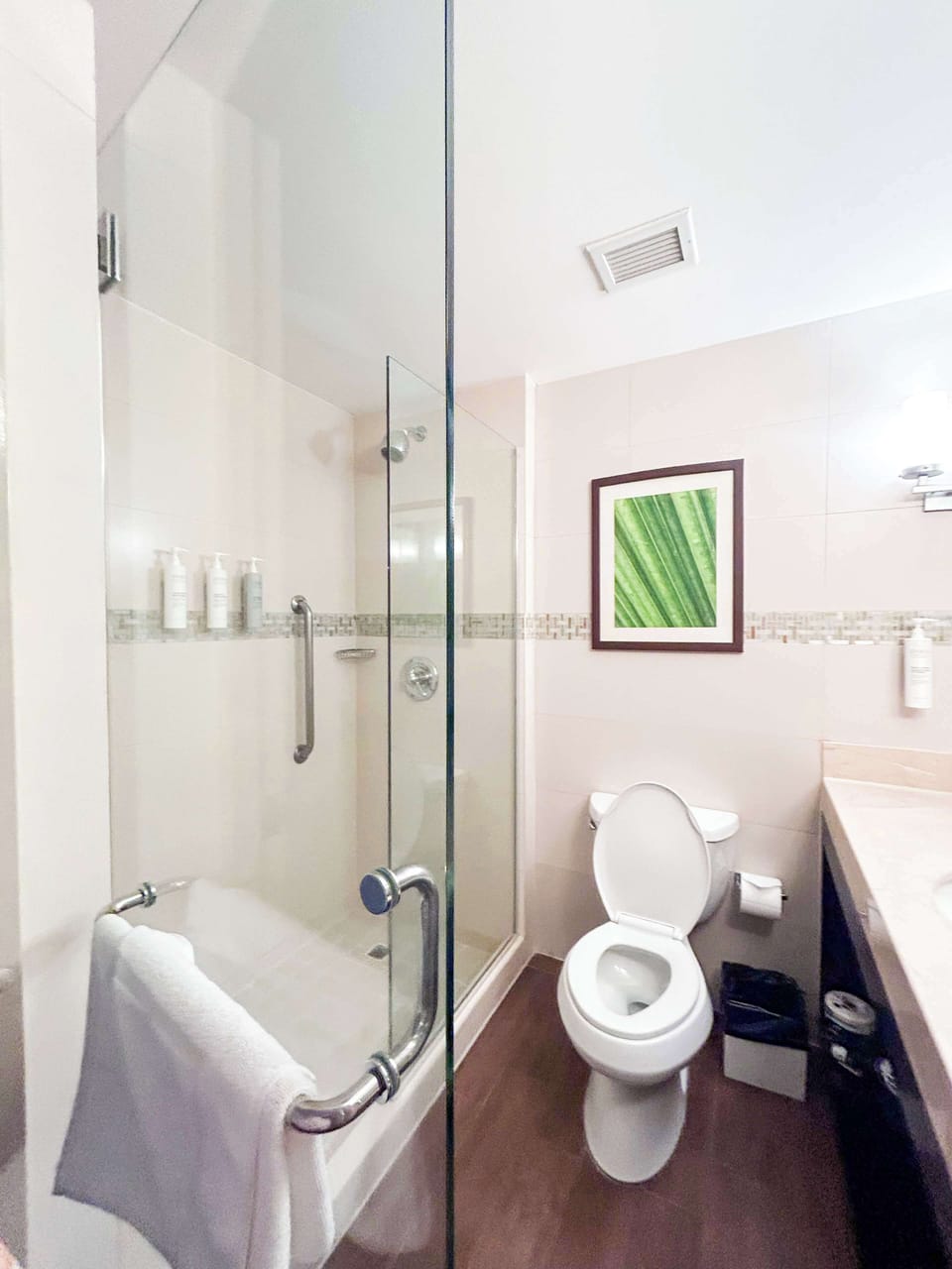 Bathroom shower