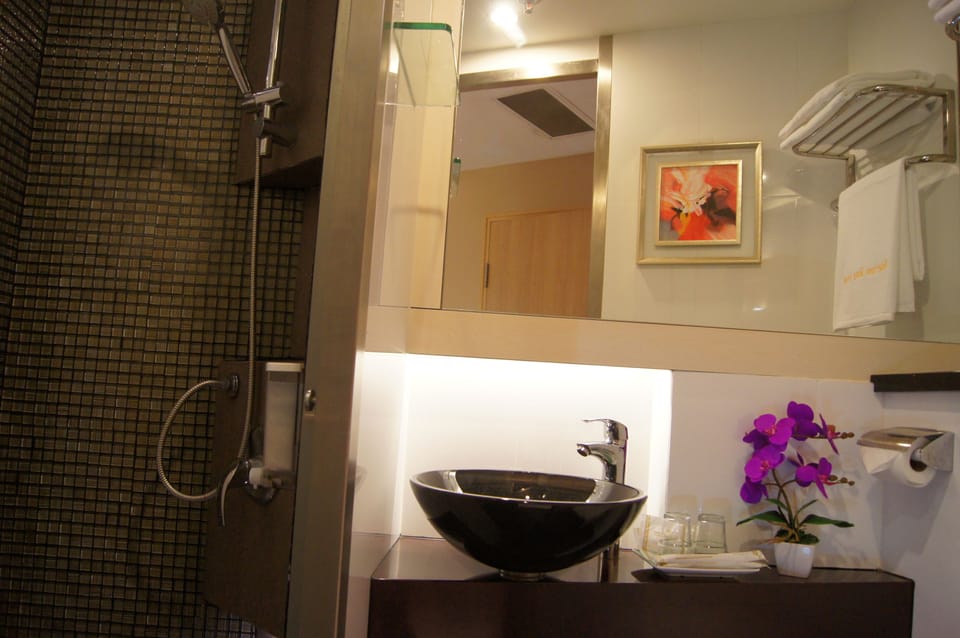 Shower, hair dryer, towels