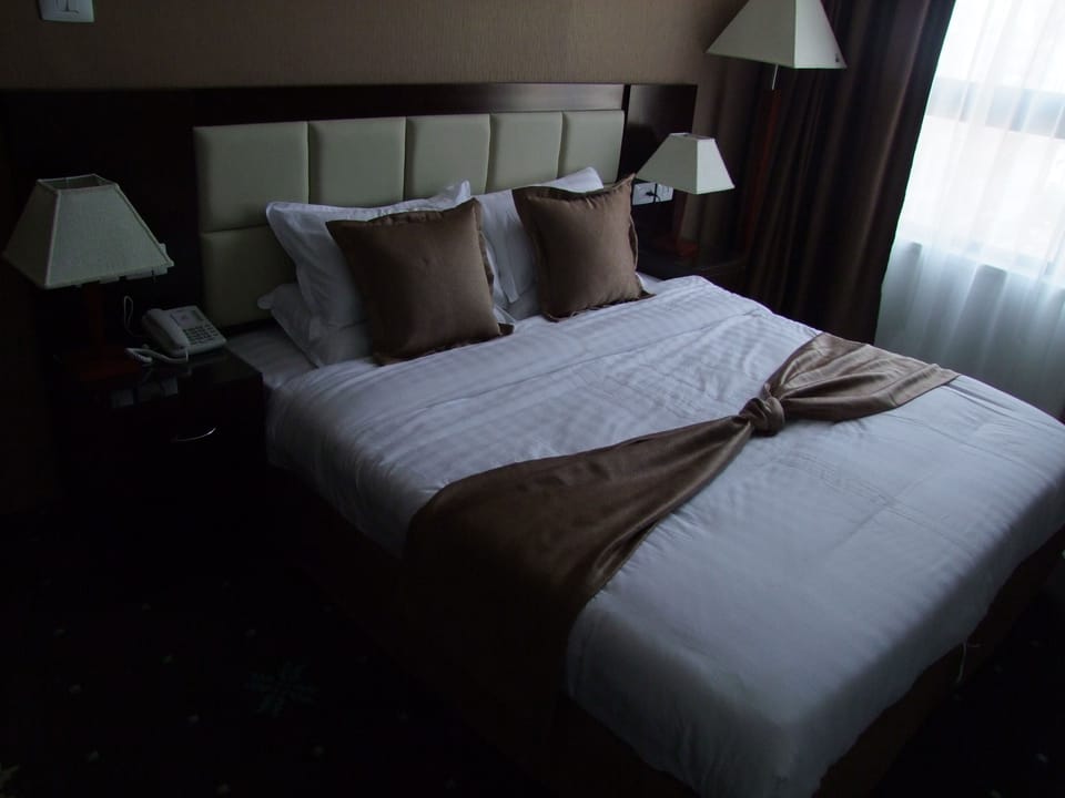 Double or Twin Room | Minibar, in-room safe, free WiFi, bed sheets