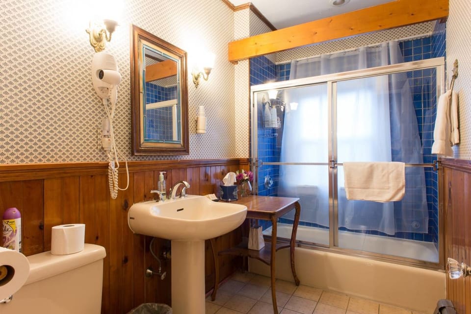Hair dryer, towels, shampoo