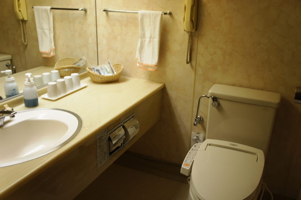 Combined shower/tub, free toiletries, hair dryer, bathrobes