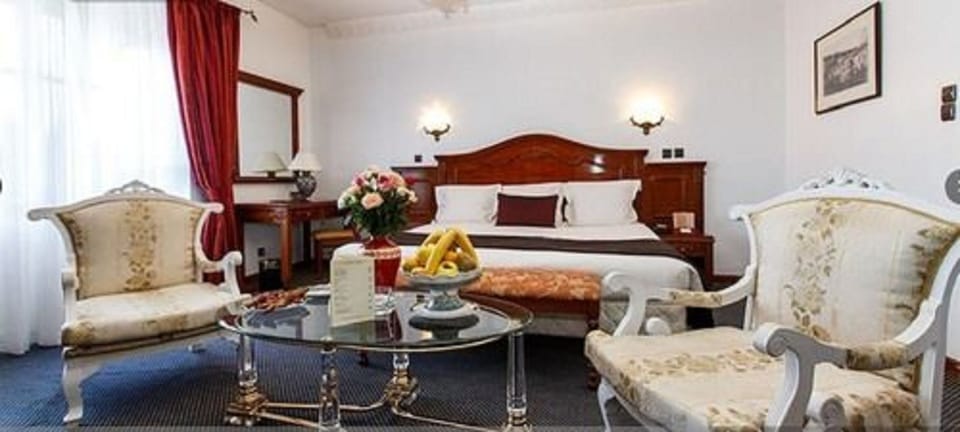 Deluxe Double Room | Egyptian cotton sheets, premium bedding, minibar (free items)
