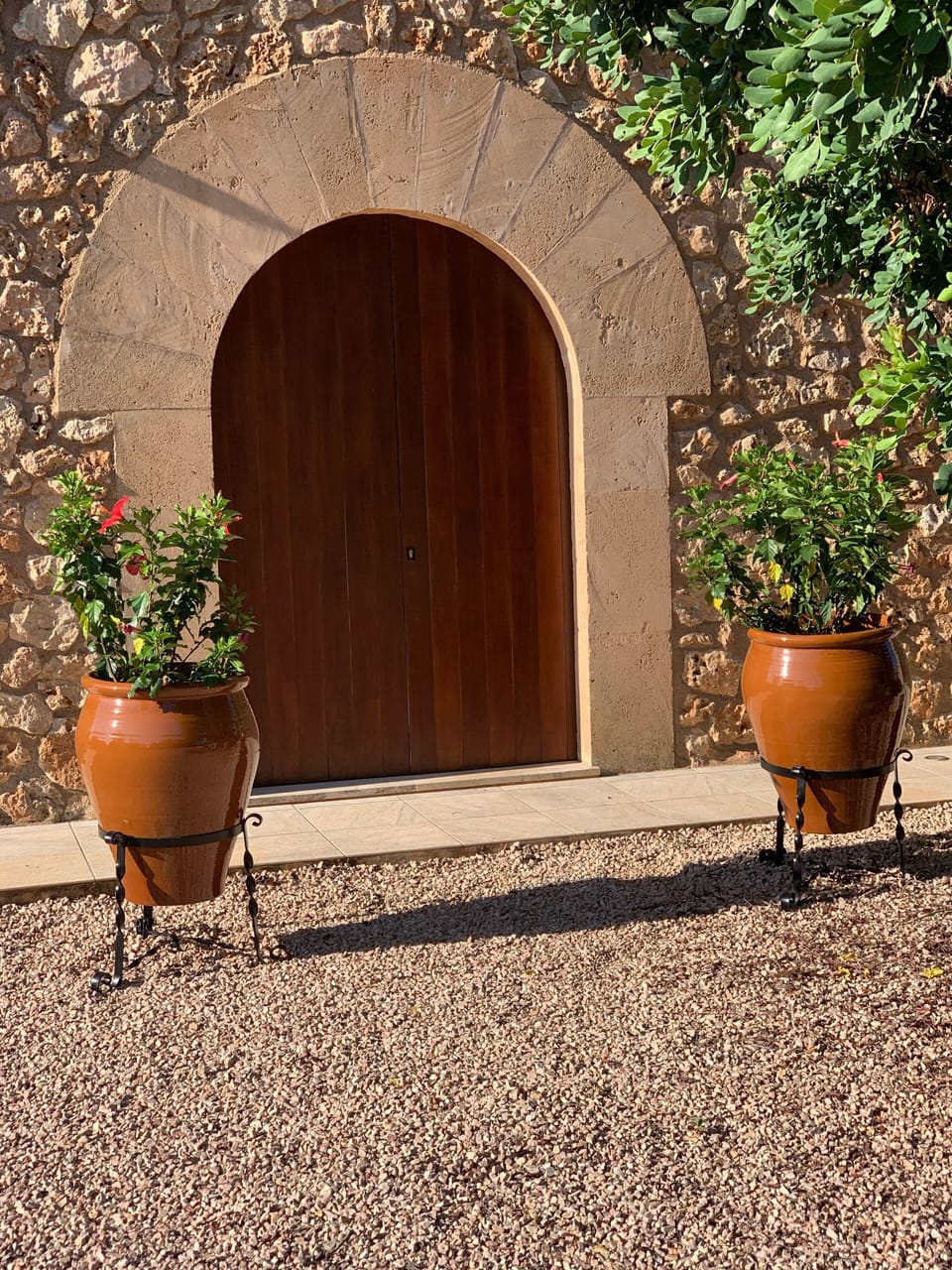Front door with hibiscus plants