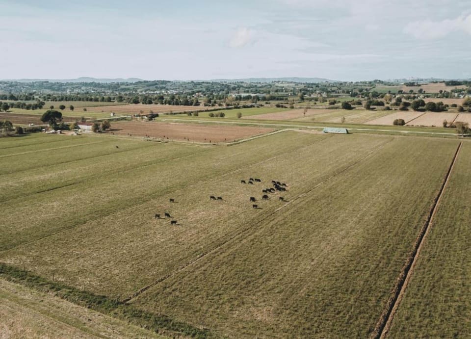 House | View from property