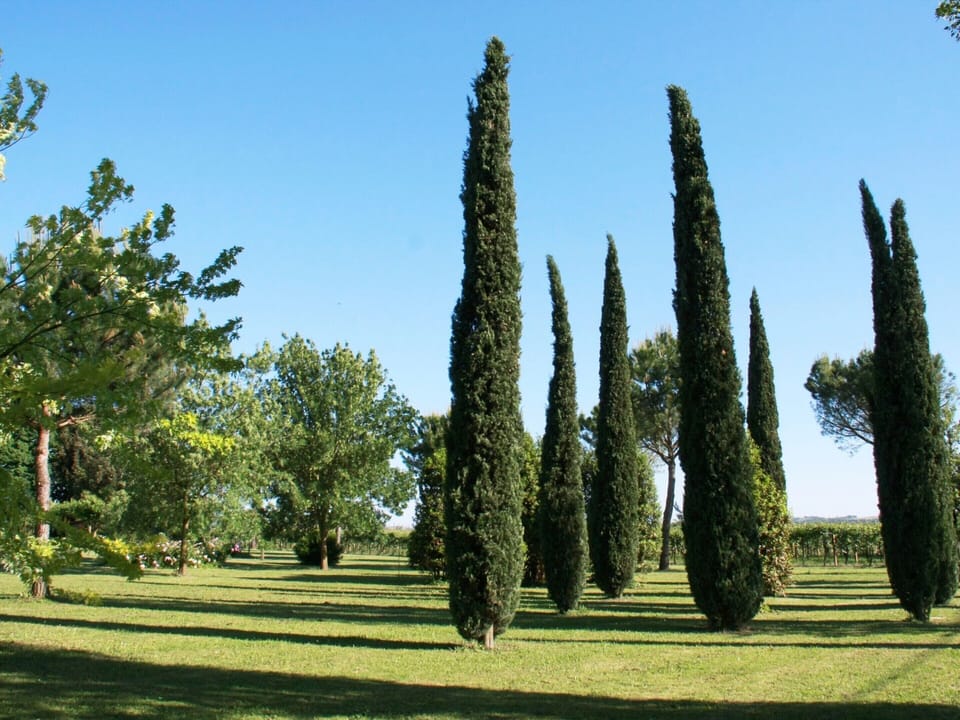 House | Garden