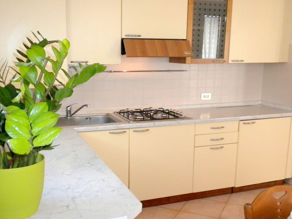 House | Private kitchen