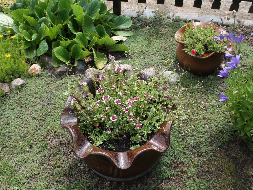 Apartment | Exterior