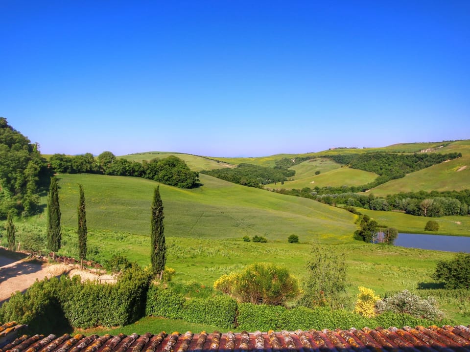 House | View from property
