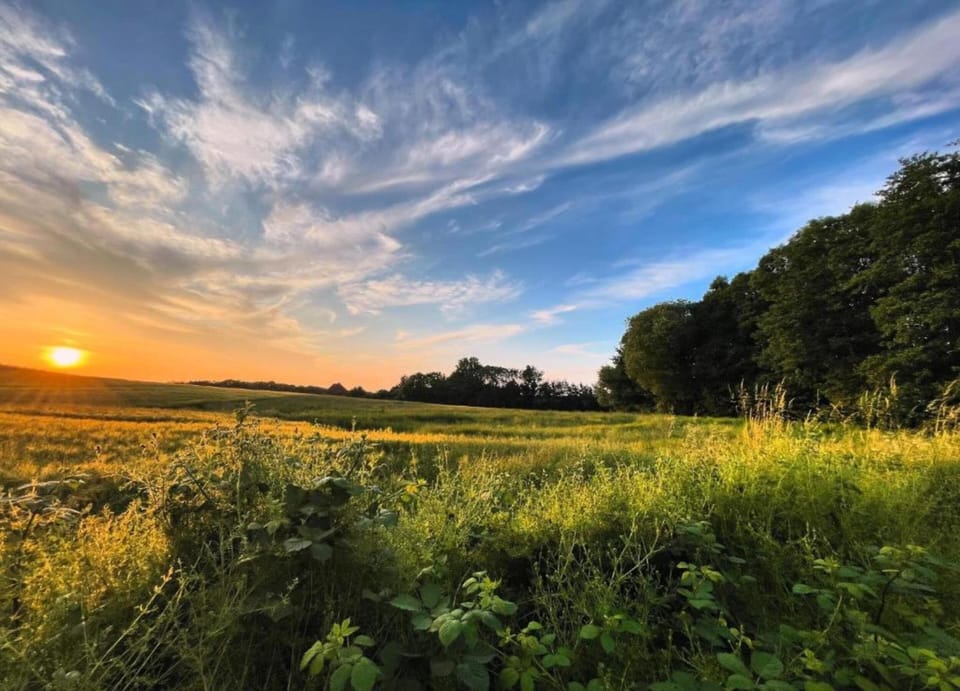 Apartment | View from property