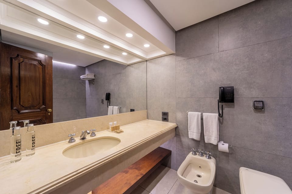 Combined shower/tub, free toiletries, hair dryer, towels