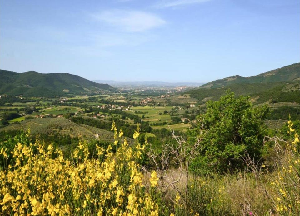 Villa | View from property