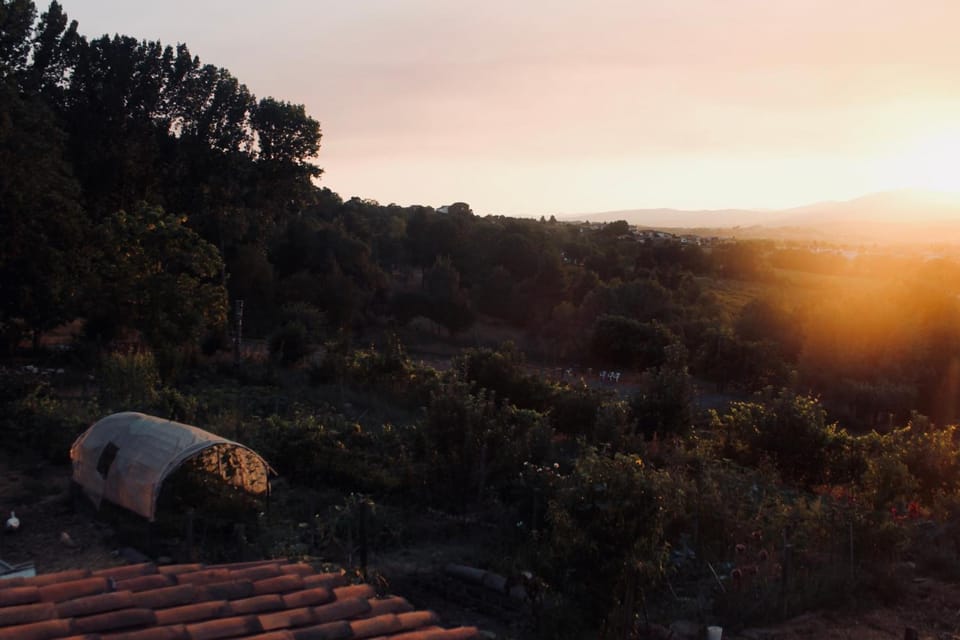 Quinta da Mata Bed and Breakfast in Vila Real District