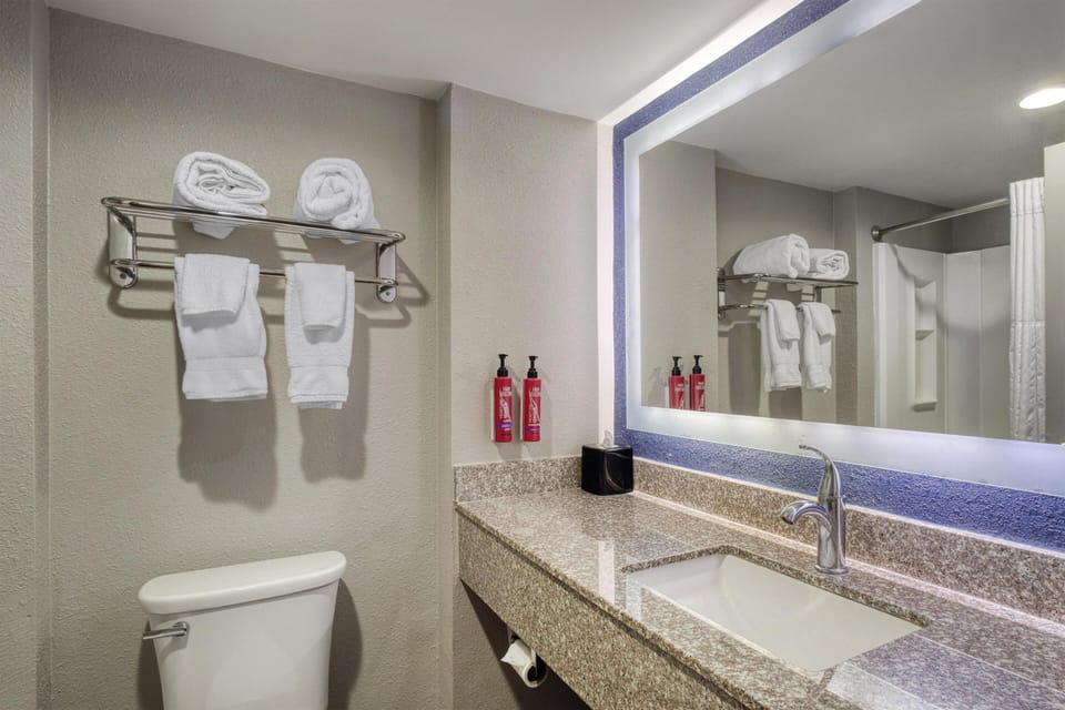 Standard Room, 1 King Bed, Non Smoking, Refrigerator & Microwave (with Sofabed) | Bathroom | Hair dryer, towels, soap, shampoo