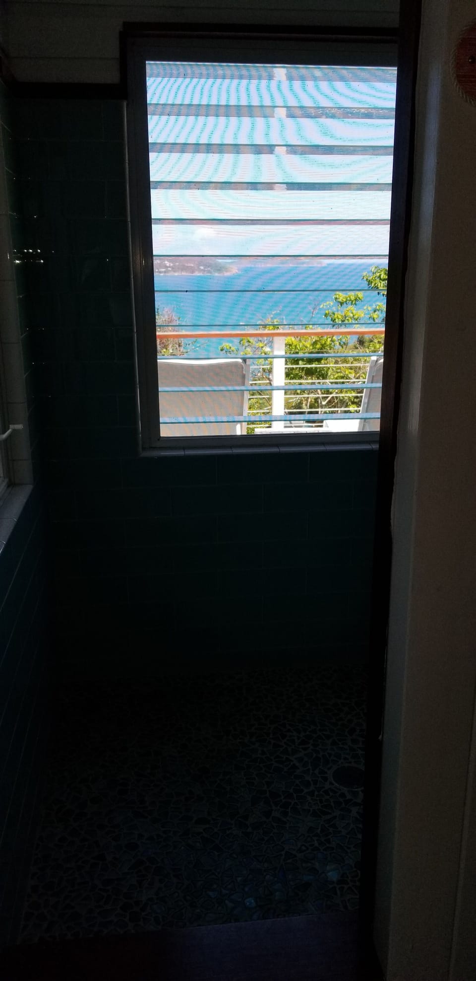View from Master Shower