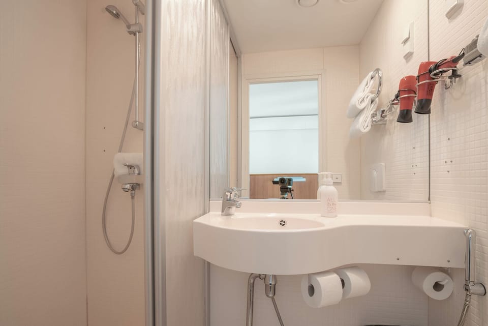 Shower, free toiletries, hair dryer, towels