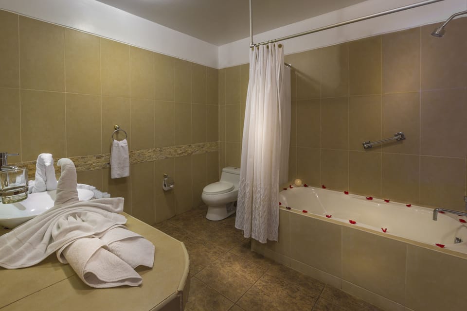 Panoramic Suite | Bathroom | Shower, designer toiletries, hair dryer, towels