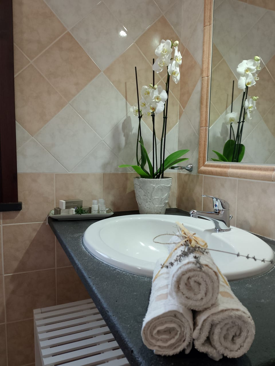 Standard Double Room, Garden View | Bathroom | Shower, free toiletries, hair dryer, bidet