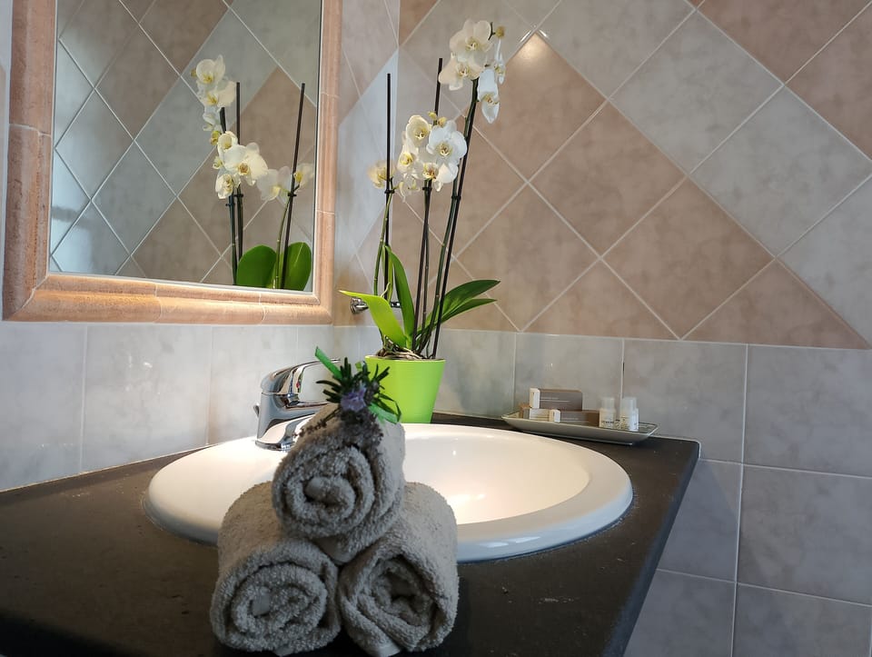 Standard Double Room, Garden View | Bathroom | Shower, free toiletries, hair dryer, bidet