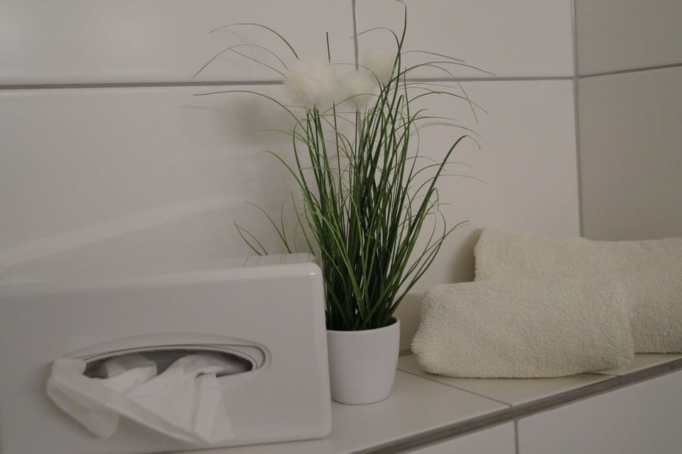 Free toiletries, hair dryer, slippers, towels