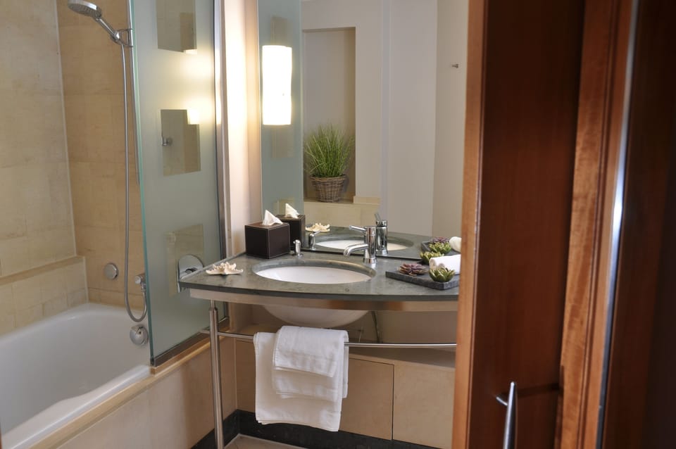 Hair dryer, towels, shampoo, toilet paper