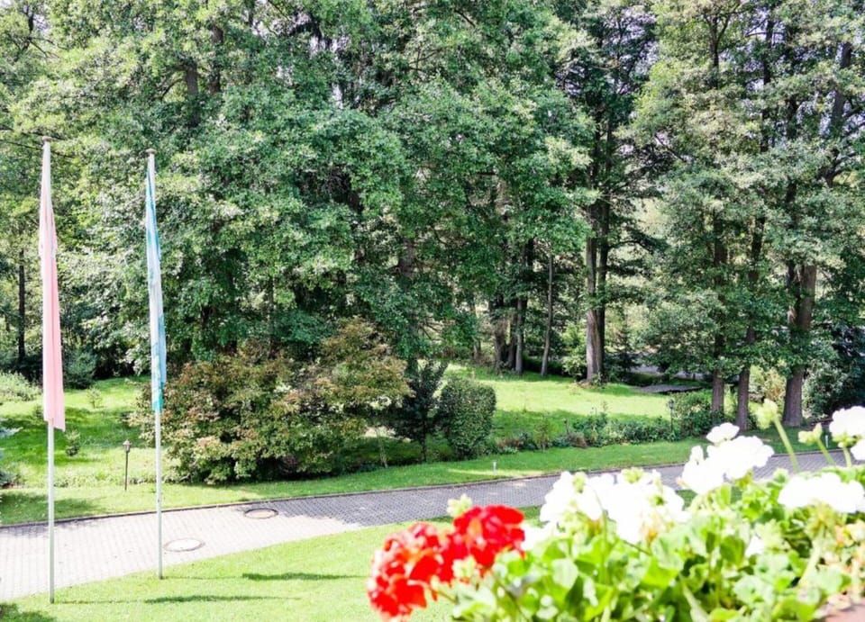 Apartment | View from property