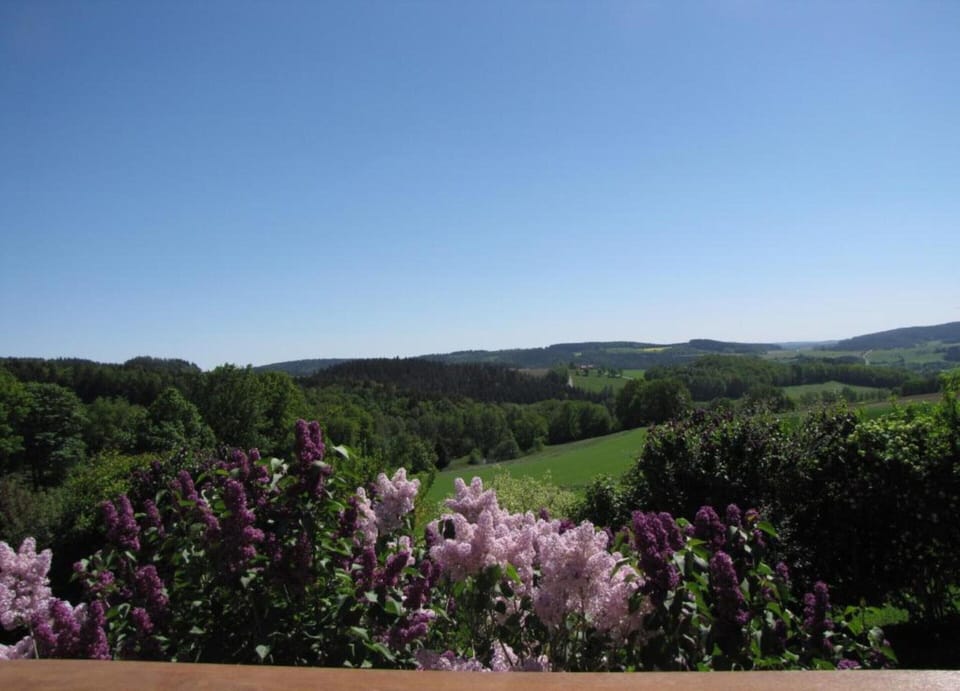 House | View from property