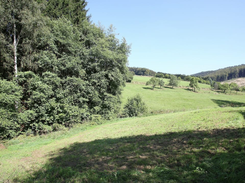 House | View from property