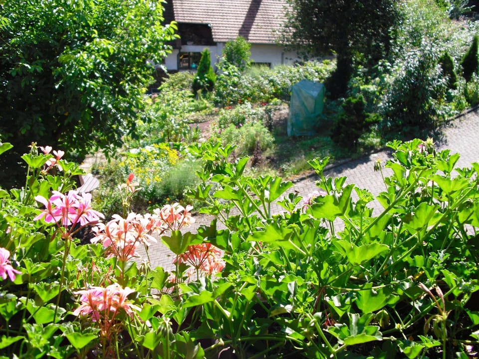 Apartment | Garden