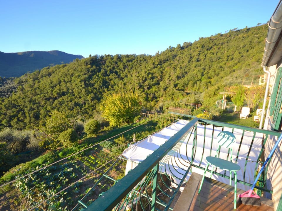 House | View from property
