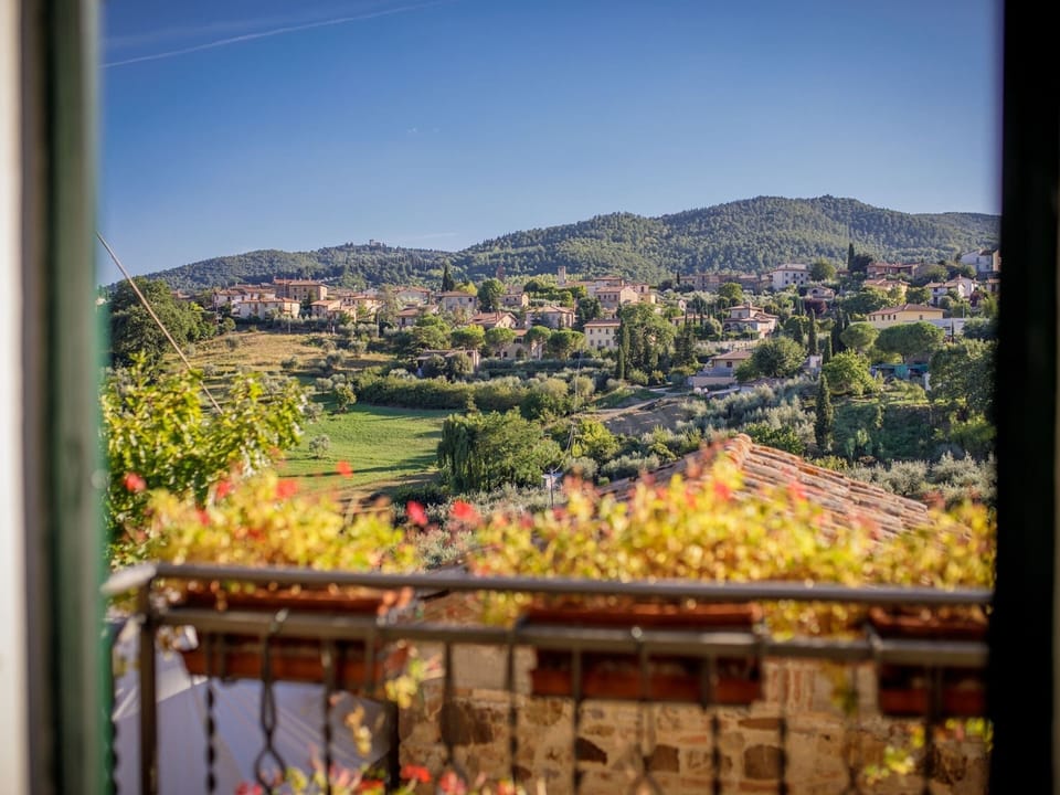 House | View from property