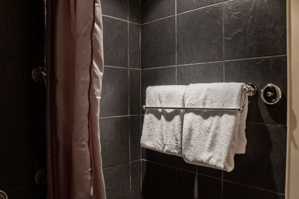 Twin Room | Bathroom shower
