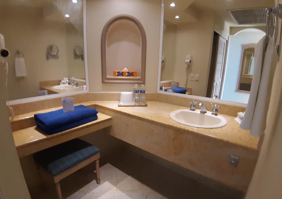 Premium Sky Top Room | Bathroom | Shower, hair dryer, towels, soap