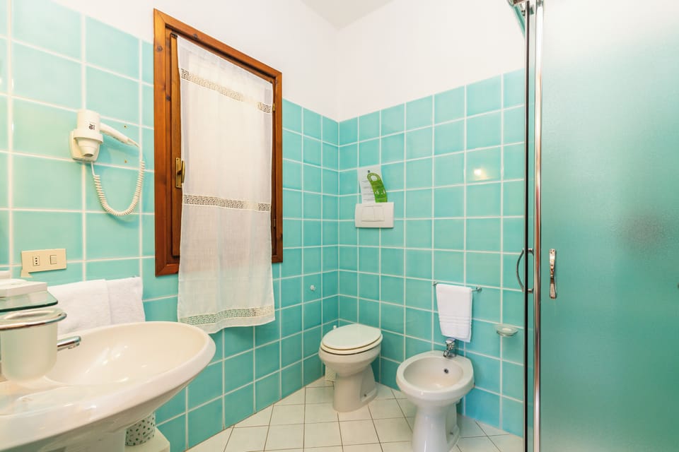 Free toiletries, hair dryer, bidet, towels