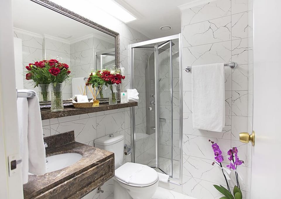 Shower, free toiletries, hair dryer, slippers