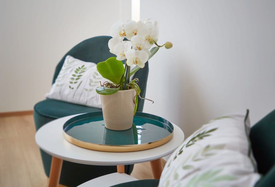 Studio | In-room safe, desk, blackout drapes, soundproofing