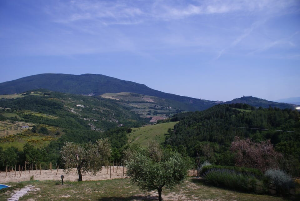 House | View from property
