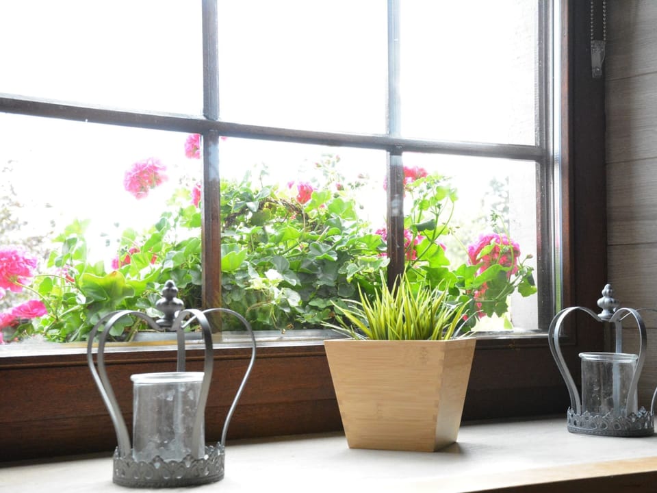 House | Interior detail