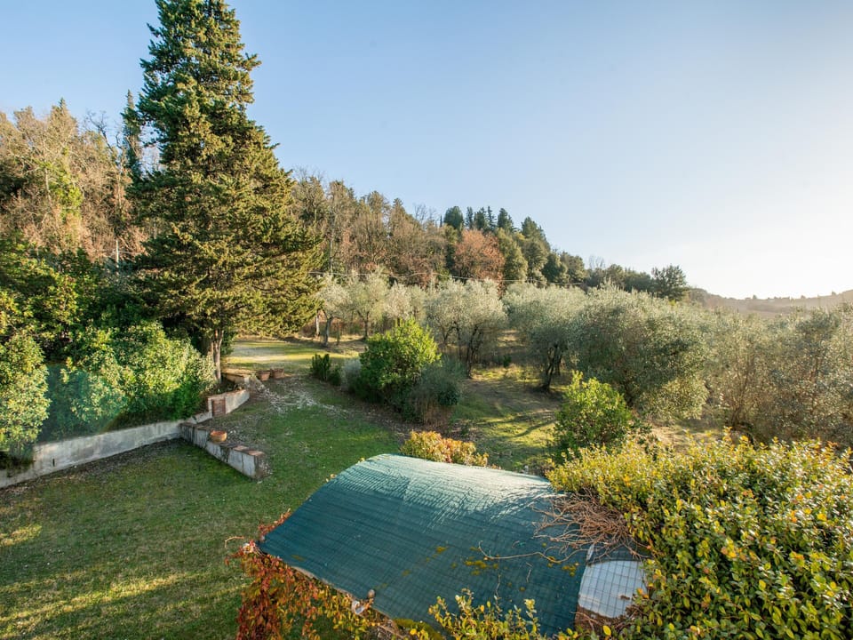 House | View from property