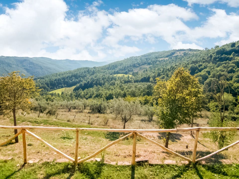 House | View from property